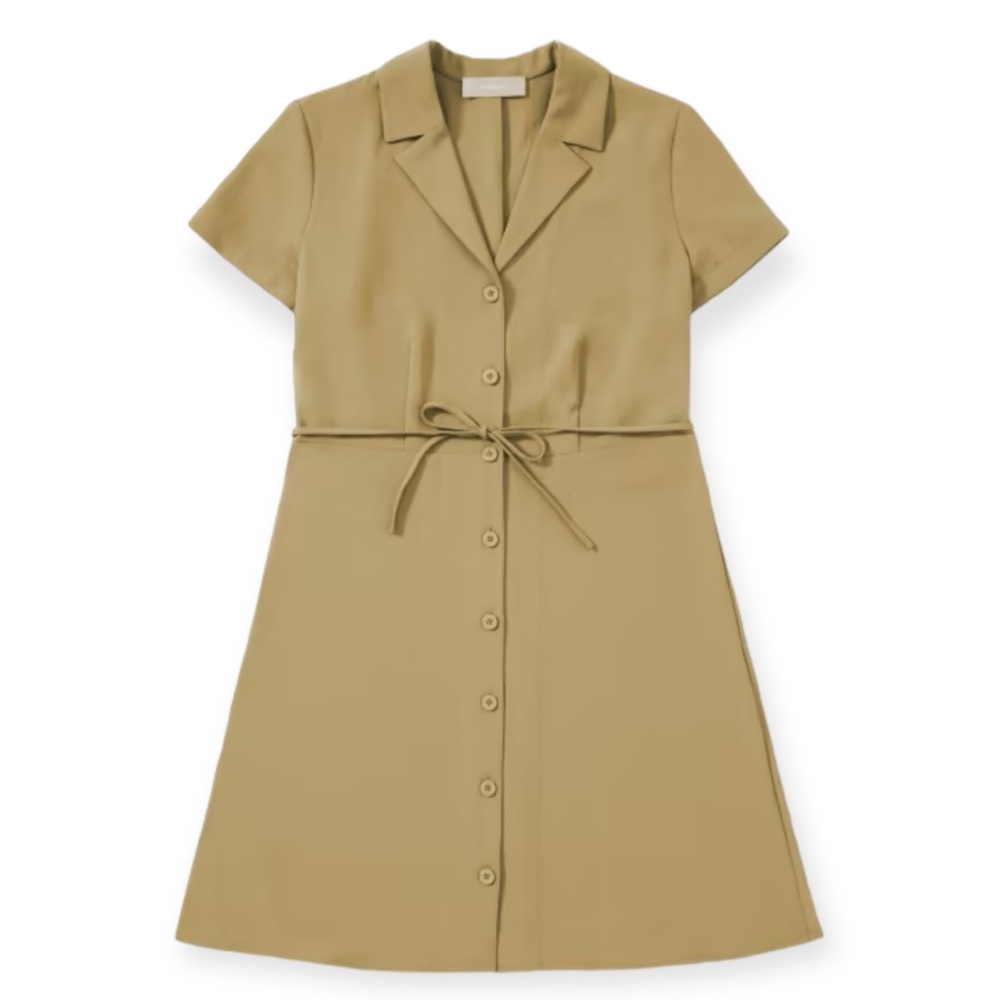 Everlane Japanese GoWeave Notch Shirtdress in Olive Green